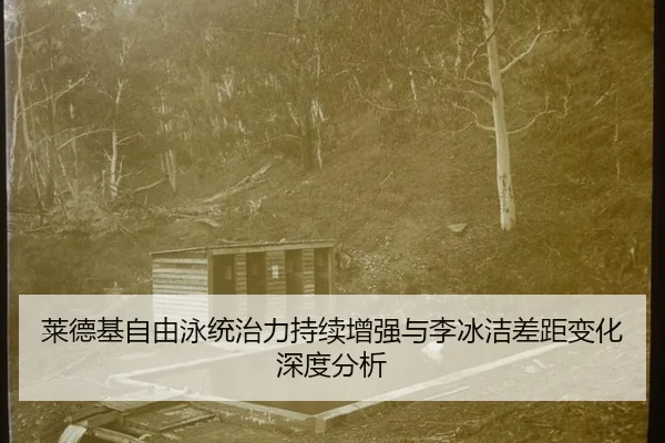 lai-de-ji-zi-you-yong-tong-zhi-li-chi-xu-zeng-qiang-yu-li-bing-jie-cha-ju-bian-hua-shen-du-fen-xi-2-723.jpg