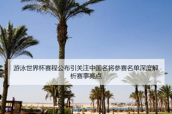 you-yong-shi-jie-bei-sai-cheng-gong-bu-yin-guan-zhu-zhong-guo-ming-jiang-can-sai-ming-dan-shen-du-jie-xi-sai-shi-liang-2-578.jpg
